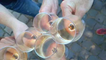 Weingläser bei der Weinprobe