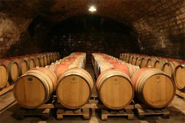 Gewölbe-Fasskeller (© Winzergenossenschaft) Gewölbe-Fasskeller (© Winzergenossenschaft)