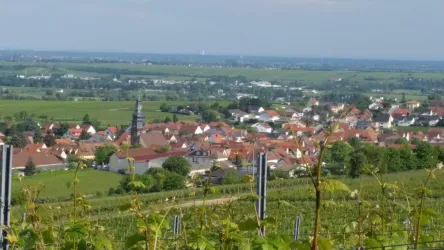 Panoramabild Kallstadt