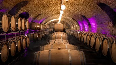 Weingut Am Nil Weinkeller (© Weingut Am Nil)