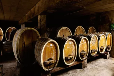 Weingut Köhler-Ruprecht - Holzfasskeller (© Weingut Köhler-Ruprecht)