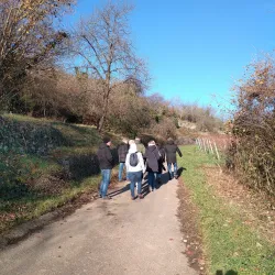 gruppe-im-winter-sonnenschein-weintour-kallstadt-s