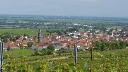 Ein Blick von oben auf Kallstadt.