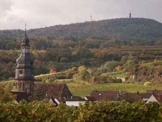 Kallstadt vom Steinacker aus gesehen mit Kirche und Pfälzer Wald