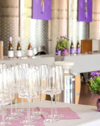 Weingläser zur Weinverkostung 