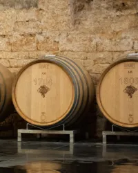 Weinfässer im Holzfasskeller