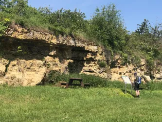 Kalksteinwand bei Kallstadt