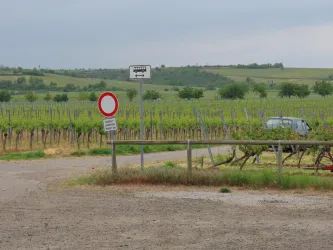 Parkplatz Freinsheimer Straße Bild 2 (© Urlaubsregion Freinsheim)