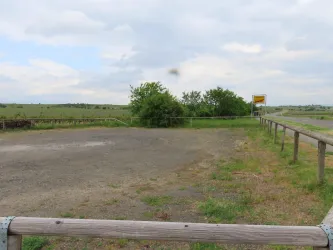 Parkplatz Freinsheimer Straße Bild 3 (© Urlaubsregion Freinsheim)
