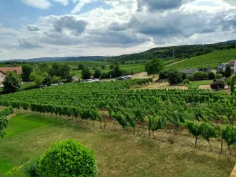 Aussicht (© Heinz)