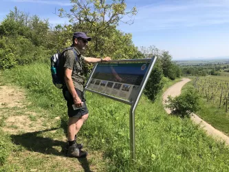 Schöner Aussichtspunkt oberhalb Kallstadts (© Urlaubsregion Freinsheim)