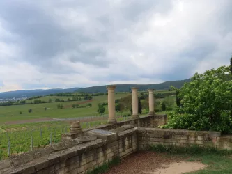 Ehemaliges römisches Weingut Bild 3 (© Urlaubsregion Freinsheim - E. Metzger)