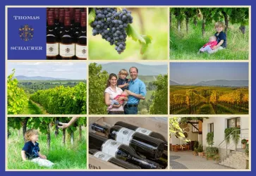 Weingut Thomas Schaurer