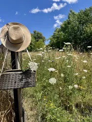 Ein sonniger Weg mit Wildblumen und grünem Gras. Ein Strohhut hängt an einem Zaun neben einer Blumenkiste.