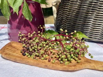 Ein Holzbrett mit Traubenansätzen liegt auf einem Tisch. Im Hintergrund sind eine pinke Vase und ein Korb zu sehen.