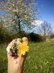 Ein Fuß mit bunten Blumen im Gras. Im Hintergrund steht ein blühender Baum und der Himmel ist blau.