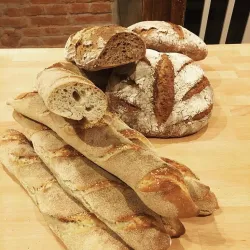 Eine Auswahl an frischem Brot liegt auf einem Holztisch. Darunter sind Stangenbrot und runde Brote mit einer knusprigen Kruste.