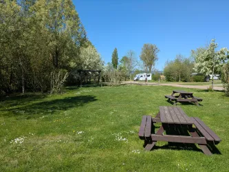 Ein grüner Park mit Holztischen und Bänken. Im Hintergrund sind Bäume und ein blauer Himmel zu sehen.