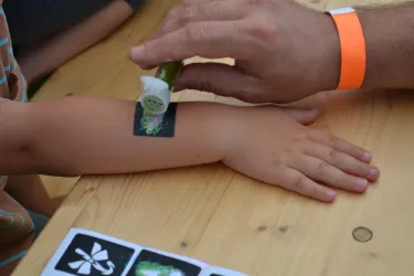 Eine Hand, die ein farbiges Tattoo auf den Arm eines Kindes aufträgt. Im Hintergrund sind weitere Tattoo-Muster sichtbar.