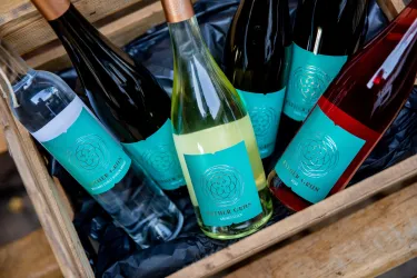 Sortiment Weingut Grün