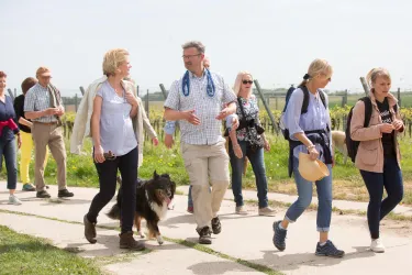 Eine Gruppe von Menschen geht auf einem Weg, begleitet von einem Hund. Sie scheinen sich zu unterhalten und die Umgebung zu genießen.