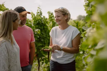 Eine Frau erklärt etwas in einem Weinberg, während sie mit zwei Personen spricht. Die Umgebung ist grün und üppig mit Weinreben.