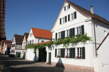 Weingut Grün