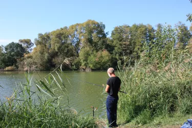 Der Angelweiher in Billigheim