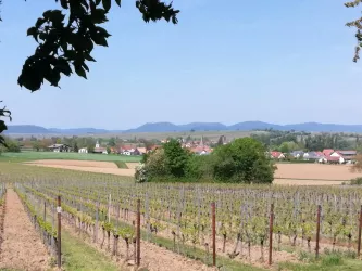 ... mit Aussicht auf Ingenheim.