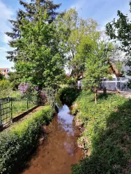 Vorbei an Gärten verläuft der Bach in Ingenheim