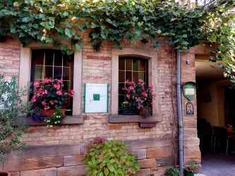 Ein charmantes Haus mit Ziegelsteinfassade und bunten Blumen in den Fenstern. Umgeben von grünen Pflanzen und einem einladenden Ambiente.