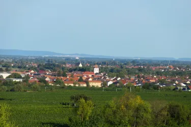 Eine malerische Landschaft mit einem kleinen Dorf und Weinbergen im Vordergrund. Im Hintergrund sind sanfte Hügel und ein klarer Himmel zu sehen.
