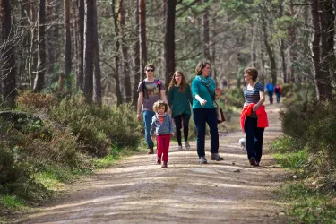 Eine Gruppe von Personen spaziert auf einem Waldweg. Sie genießen die Natur und die frische Luft.
