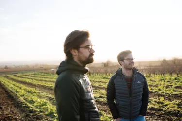 Weingut Scheuermann 1