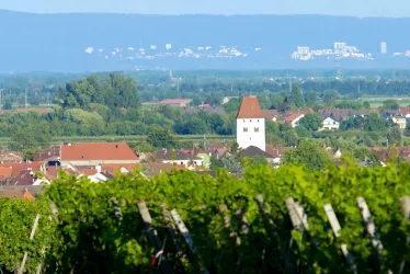Gemeinde Niederkirchen