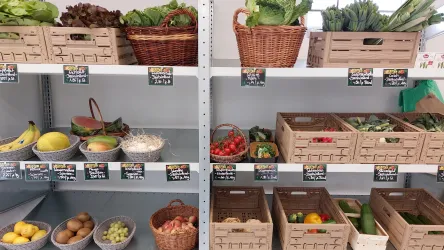 Ein gut sortierter Gemüseladen mit verschiedenen Obst- und Gemüsesorten in Körben. Die Regale sind ordentlich und mit Preisschildern versehen.