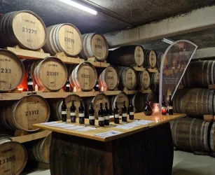 Ein Weinkeller mit zahlreichen Holzfässern. Auf einem Tisch stehen mehrere Flaschen Wein.