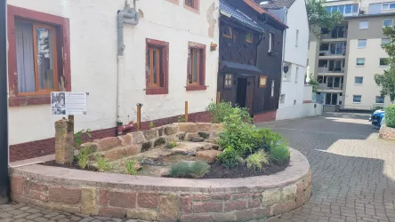 Waschbach