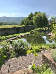 Garten mit Teich (© Kräutergarten)
