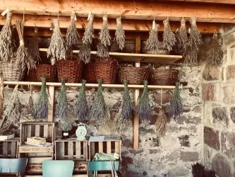 Lavendel (© Kräutergarten)