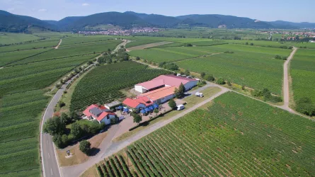 Ansicht Wingut (© Weingut Edel-Brauch)