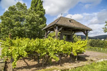 Kelterplatz_Weinlehrpfad (© Verein SÜW Edenkoben, T. Kujat)