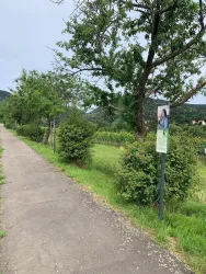 Weinlehrpfad mit digitalen Infos (© Verein SÜW Edenkoben)