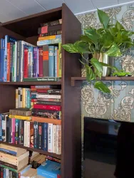 WhatsApp Image 2025-11-09 at 10.31.13 (1)