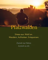 Der Sonnenuntergang über einer bewaldeten Landschaft. Eine Person sitzt auf einem Felsen und genießt die Natur.