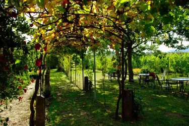 Winzergarten (© Weingut Teutsch)