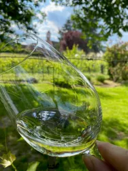 Wein (© Weingut Teutsch)