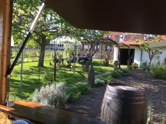 Winzergarten Weingut Teutsch (© Weingut Teutsch)