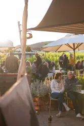 Eine lebhafte Weinstube im Freien mit vielen Gästen unter Sonnenschirmen. Im Hintergrund sind Weinreben zu sehen und die Abendsonne sorgt für eine angenehme Atmosphäre.