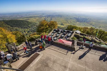 Ausblick von Bergstation Rietburgbahn (© Verein SÜW Edenkoben, T. Kujat)